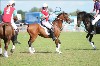 UKPA NC SAT_2432